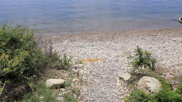Пляж базы отдыха "Кубанец" с.Лермонтово смотреть онлайн