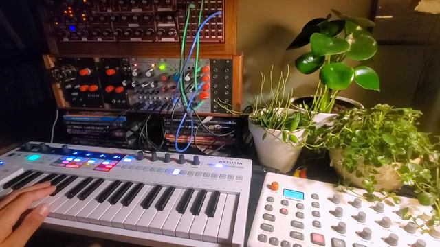 Clouds: Project 161- (Keystep Pro Ambient Modular Track) смотреть онлайн