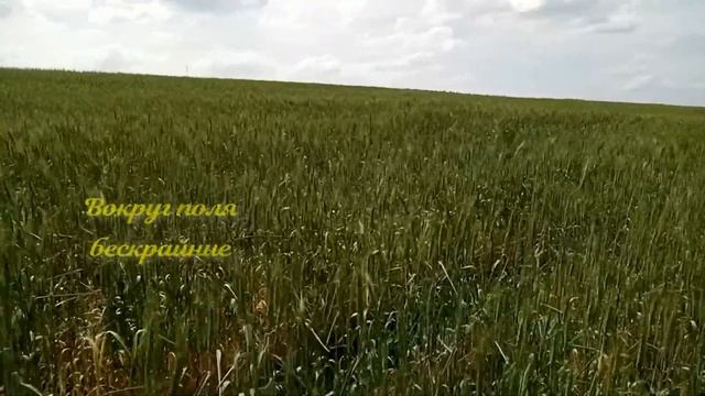 Любимый край, родная земля смотреть онлайн