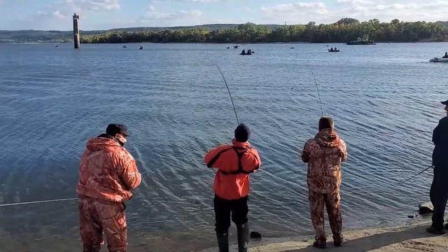 Судачье место, Канев, рыбалка смотреть онлайн