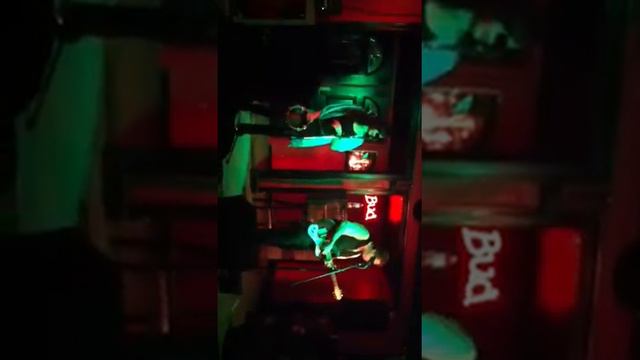 Rex & me@theKraken смотреть онлайн