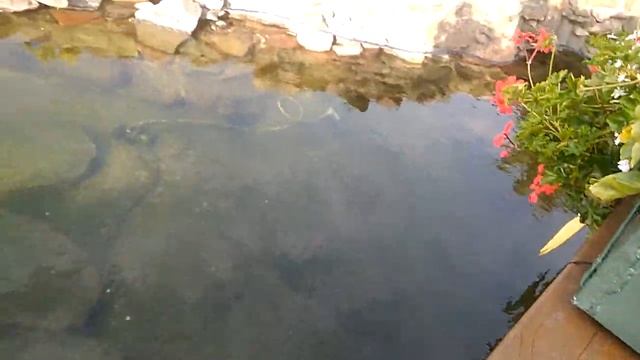 Ресторан Лидо Рига Латвия 2019 смотреть онлайн