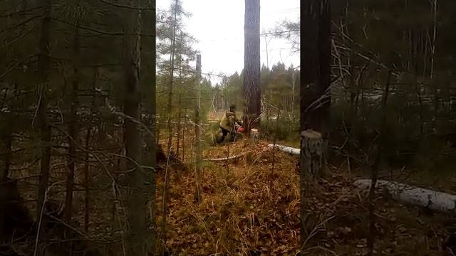 Расширение ЛЭП