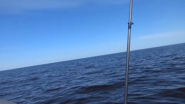 26.05.2018 Белое море, остров Голец смотреть онлайн