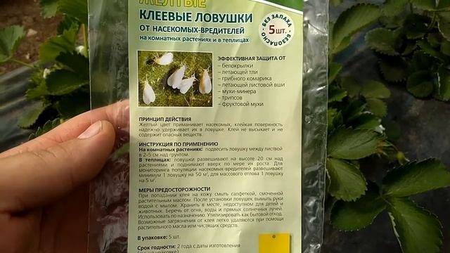 Клеевые ловушки. смотреть онлайн