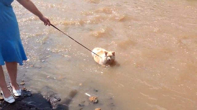 Тропический ливень в Уссурийске 08.08.2017 г. Часть 14. смотреть онлайн