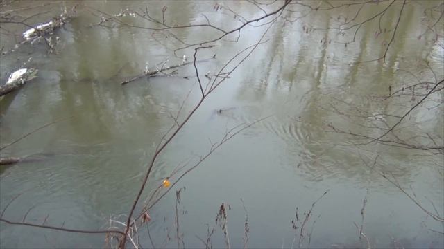 История одной почти отличной рыбалки на жерлицы в конце ноября смотреть онлайн