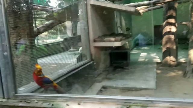 I Went To Visit #LucknowZoo With My Family Members. ( Part 1) смотреть онлайн
