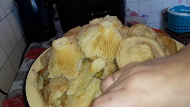 Фасоль с овощами на зиму.И еще одна заготовка.Это солю грузди.