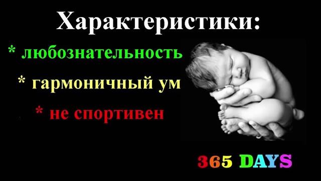 Нумерология по дате рождения 26 декабря 2015 года смотреть онлайн