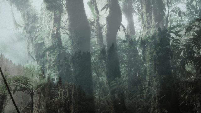 【深くリラックスする雨音】森林に降り注ぐ癒しの雨の音ホワイトノイズ 528Hz+963Hzソルフェジオ周波数(極微音量)🍀DNA修復・松果体活性・奇跡の訪れ🐞ASMR 自然音｜睡眠導入 睡眠用・勉強 смотреть онлайн