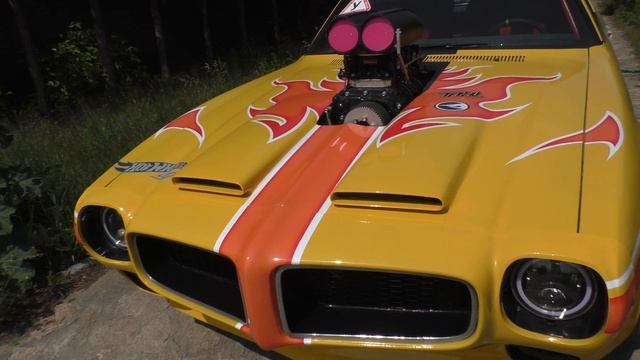 Chevrolet Chevelle 1969 & Pontiac Firebird 1973 Dragster