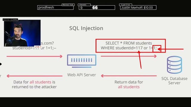 SQLMap Injection Lab (Practical Cyber Skills Taught) смотреть онлайн