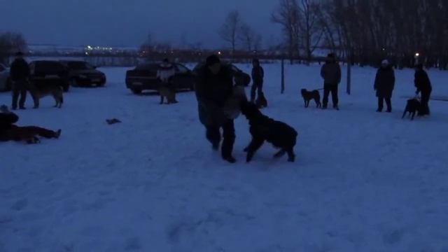 Romаn-Kosh Lotos Lond Life. RUSSIA. Achinsk смотреть онлайн