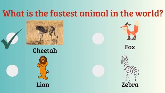 Animal Quiz For Kids Part #1 | General Knowledge For Kids