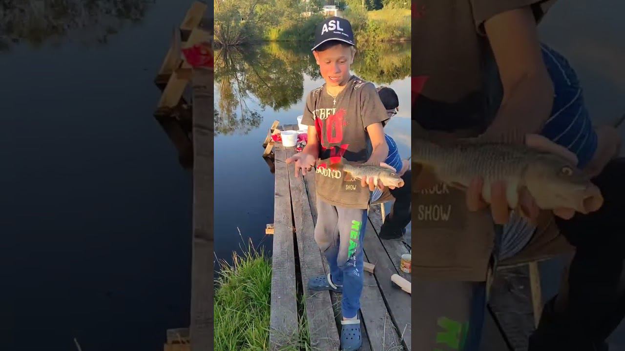Выпустили сазана #рыбалка #fishing #viral #carpfishing #top #carp #рыбаки #fish #удочка #трофей смотреть онлайн