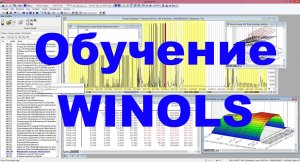 Обучение Winols
