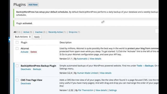 Backup your WordPress site with BackUpWordPress Plugin (old) смотреть онлайн