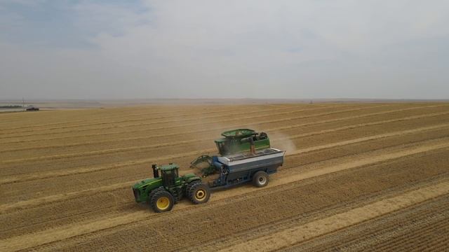 OH NO!!!! Another Breakdown!! Wheat Harvest 2021 смотреть онлайн