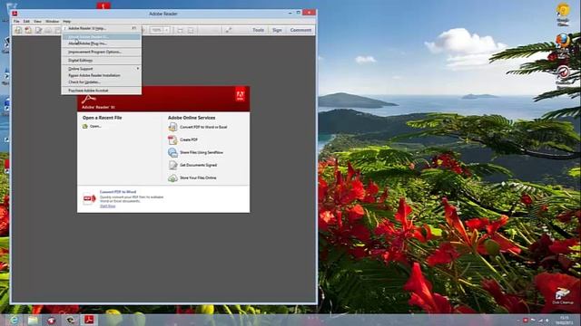 Installing Adobe Reader XI (11.0.1) and Opera 12.14 on Windows 8 смотреть онлайн