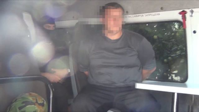 Я тебе попугай что ли? – задержаны пять жителей Алатыря смотреть онлайн