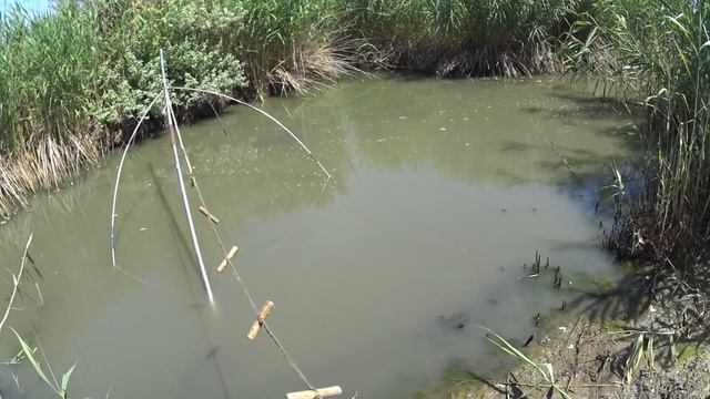 Рыбалка на Подъёмник с ЭХОЛОТОМ, паук с эхолотом, ЩУКА на 5 мин. НЕОБЫЧНА РЫБАЛКА смотреть онлайн