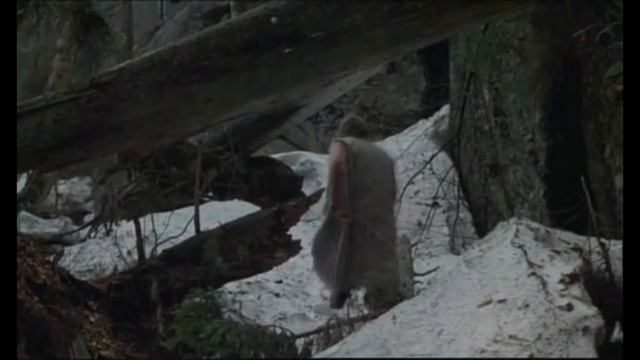 Werner Herzog: Daydreaming смотреть онлайн