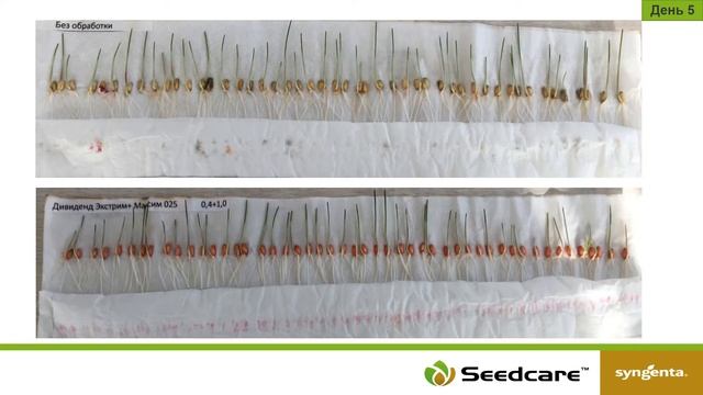 Дивиденд Экстрим + Максим vs Контроль без обработки смотреть онлайн