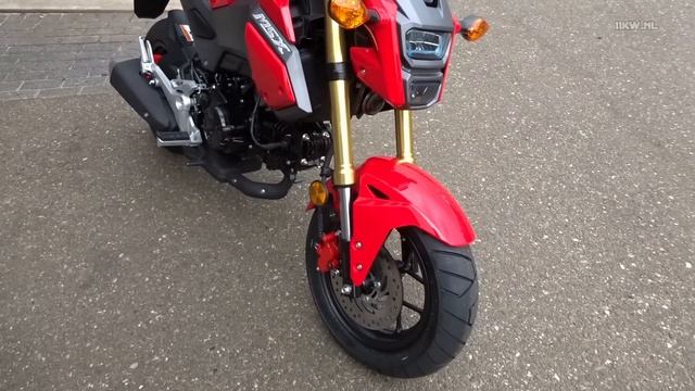 2016 New Honda MSX125 SF / Grom 125 SF WALK AROUND & DETAILS смотреть онлайн