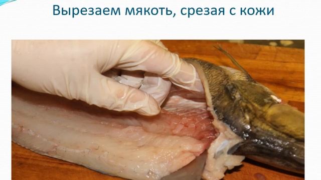 Обработка судака для фарширования Сомова Н Н смотреть онлайн