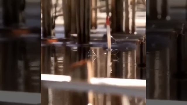 Услада для глаз мужчин смотреть онлайн