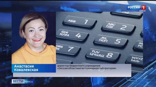 В Омске продолжается массовый мор голубей смотреть онлайн