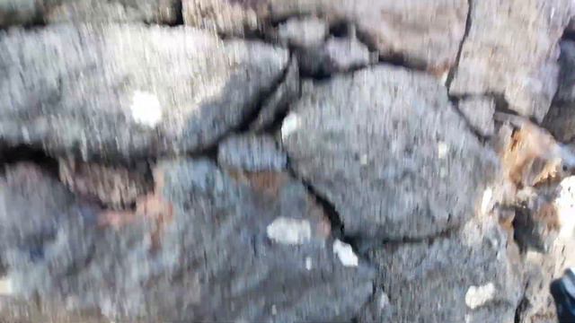 Rocks from below La Palma; *XENO-PUMICE* in the pre-historic Las Indias Eruption, Dec. 3rd, 2021 смотреть онлайн