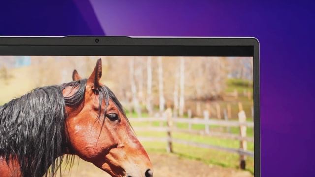 TOP PORTATILES CALIDAD PRECIO para ESTUDIAR o TRABAJAR 2024 Mejores Laptops CALIDAD PRECIO смотреть онлайн