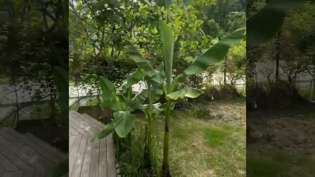 Сдаётся дом смотреть онлайн