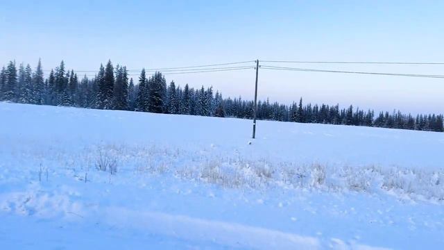 Кубок "Северного Патрика 2024" начало! Набираем призовой фонд! смотреть онлайн