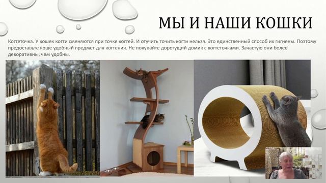 Удобное проживание человека и кошки смотреть онлайн