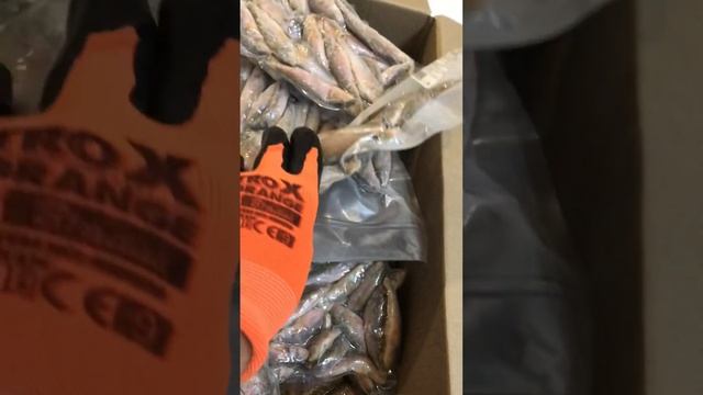 Барабуля черноморская 8-12 смотреть онлайн