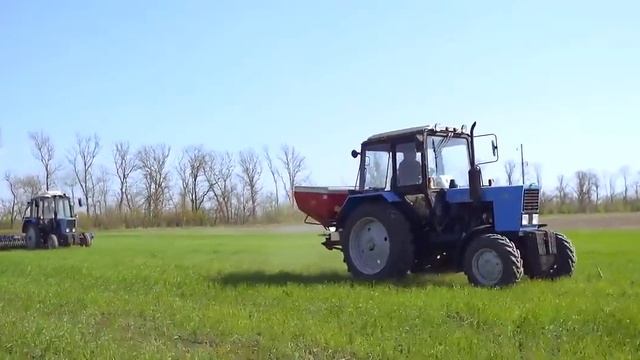 Борона мотыга Ротационная работа по озимой пшенице и её эффект смотреть онлайн