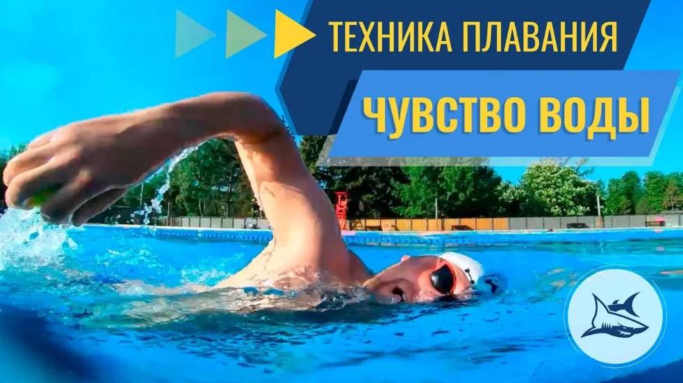 Как научиться плавать кролем? Чувство воды смотреть онлайн