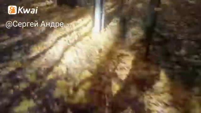 Что такое осень, это дорога из лета в зиму... смотреть онлайн