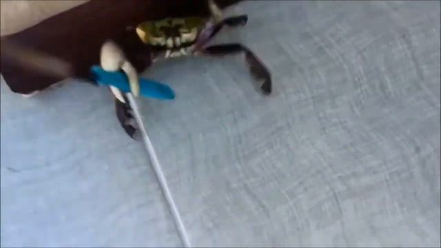 А ну иди сюда!