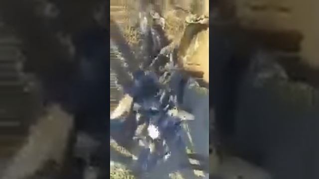 Сомы в машине Вытащили из воды автомобиль с сомами, подняли много рыбы смотреть онлайн