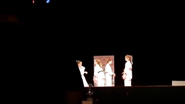 Naše Holky Na Celostátním Kongresu Karate-fudokan-shotokan V Praze