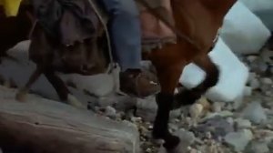 46 1997 Байкал   В зазеркалье Байкала - Подводная одиссея команды Кусто