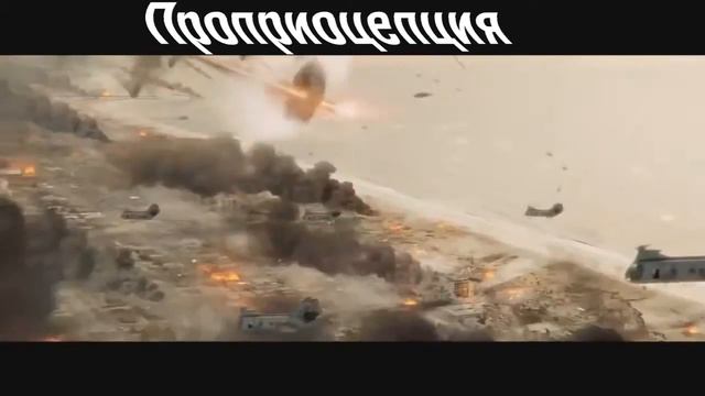 Сколько у человека чувств?