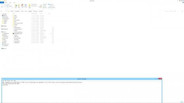 Minecraft Server.exe Error: Java Exception Error Has Occurred