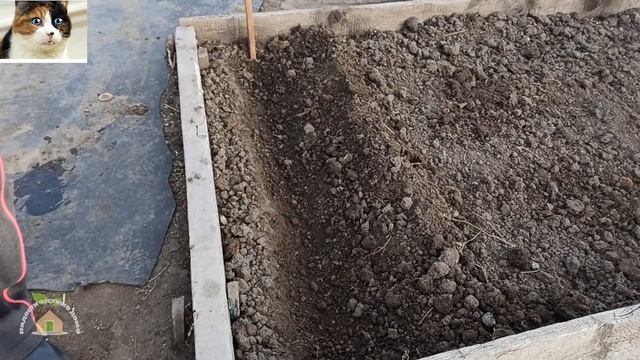 Как и когда сажать лук севок осенью под зиму смотреть онлайн