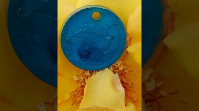 Созвездие льва смотреть онлайн