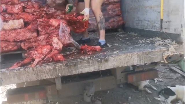 Обращение || В ДОРЕ ещё очень много надо сделать! || Променад с заплывом.????♂️ смотреть онлайн